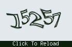 Captcha 그림